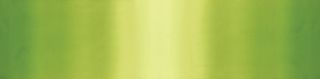 Color Theory Ombre Lime Green