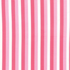 Color Theory Ombre Stripes Pink