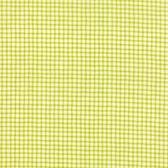 Wonky Gingham Light Green