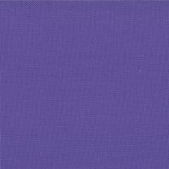 Bella Solids Amelia Purple