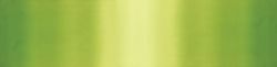 Color Theory Ombre Lime Green